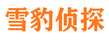 平阴市调查公司